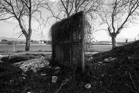 Epidemic (Épidémie, Terre des feu) de Massimo Berruti
