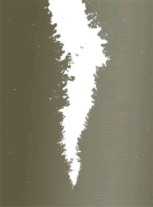 Nuit de la radio 2009