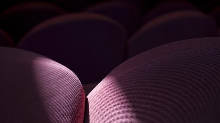Salle de projection Charles Brabant - photo Matthieu Raffard