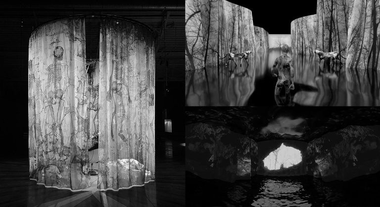 They Dream in My Bones - Insemnopedy II de Faye Formisano