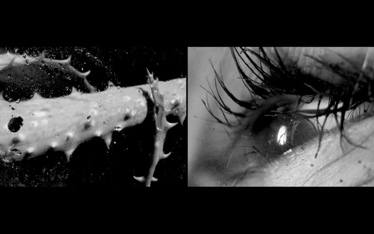 Hybrid Terrains de Elise Guillaume