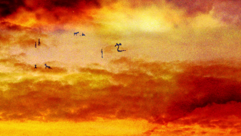 Paysage d'été de Vincent Burger