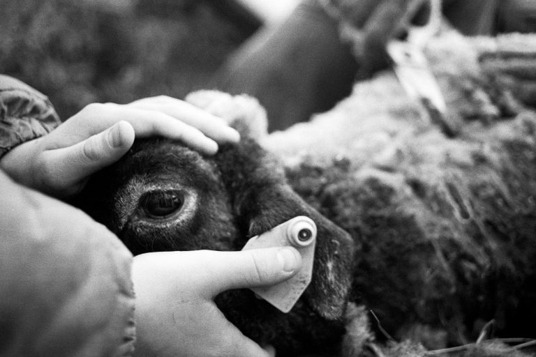 Prix mentor 2022 session 1 Paris