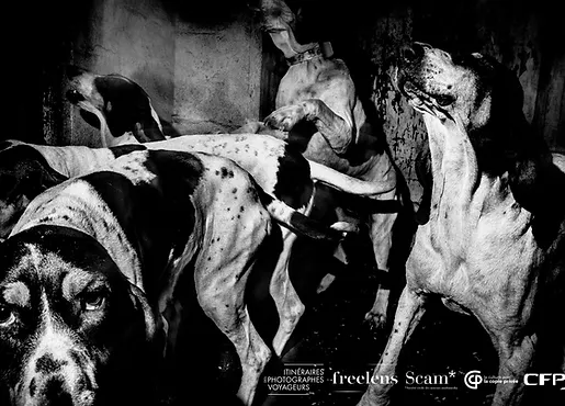 photo Élie Monferer, Lauréat du Prix Mentor 2023