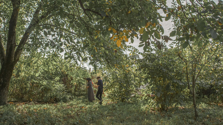 Imago de Déni Oumar Pitsaev